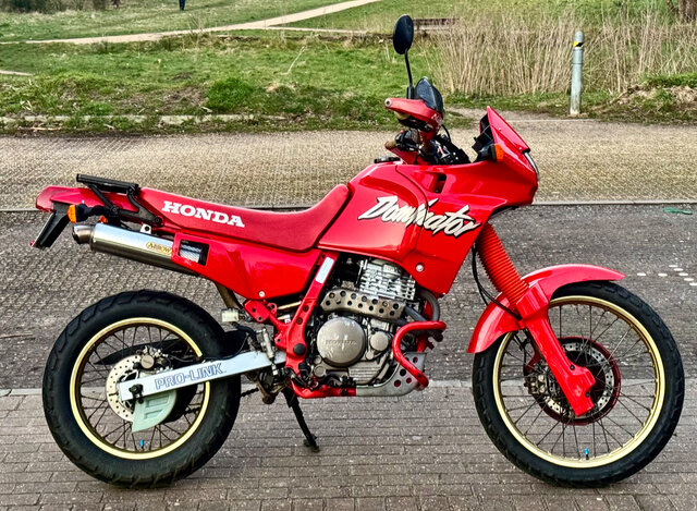 Dominator_2025-13