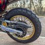 Dominator_2025-9
