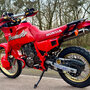 Dominator_2025-7