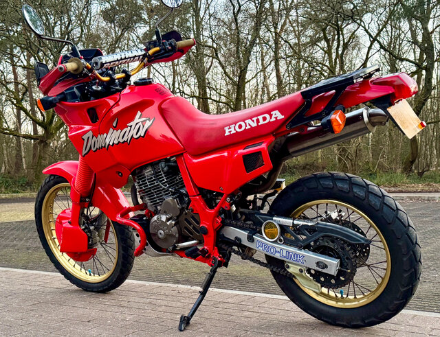 Dominator_2025-7