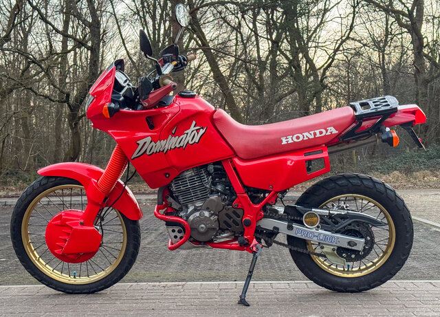 Dominator_2025-4
