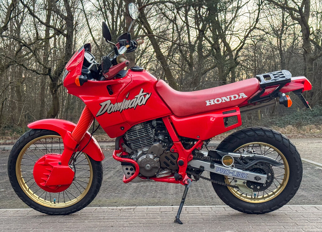 Dominator_2025-4