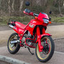 Dominator_2025-2