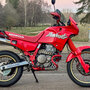 Dominator_2025-1