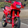 Dominator_2025-3