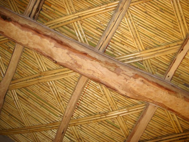 Maroc_2202_pic17