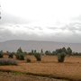 Maroc_2202_pic23