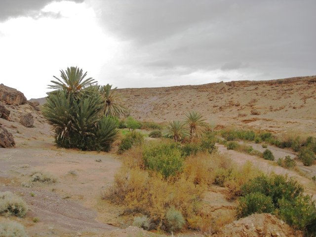 Maroc_2202_pic41