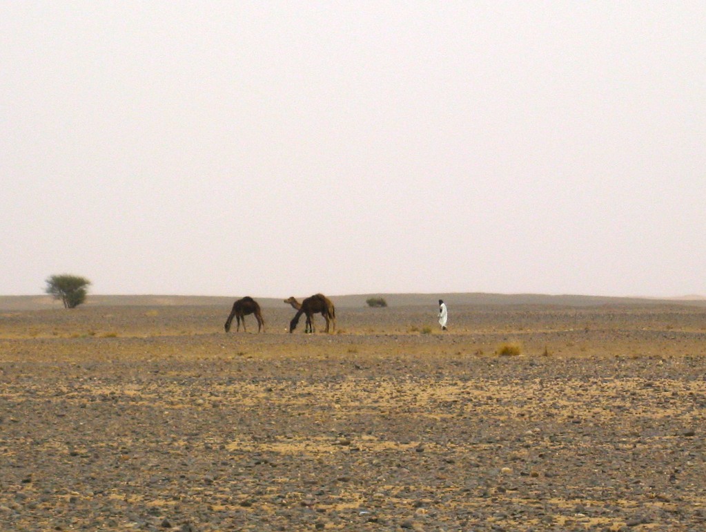 Maroc_2302_pic53