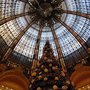 GL_dome_tree