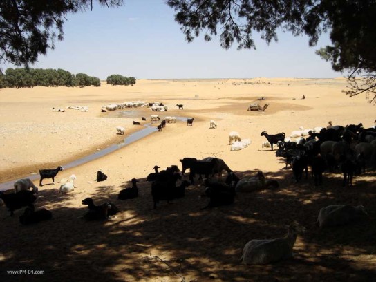 kg_waterhole