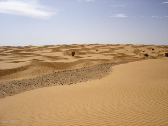 jbil_dune_field