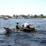nile_fishin