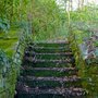 Brecons_15