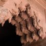 Agra_fort_red_sandstone