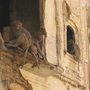 monkey_temple