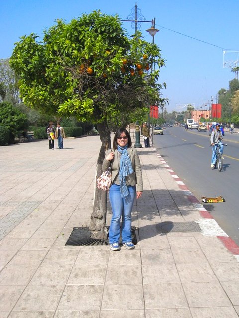 4_Maroc_27_02_2008